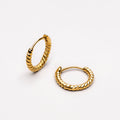 Example Twisted Hoops Earrings