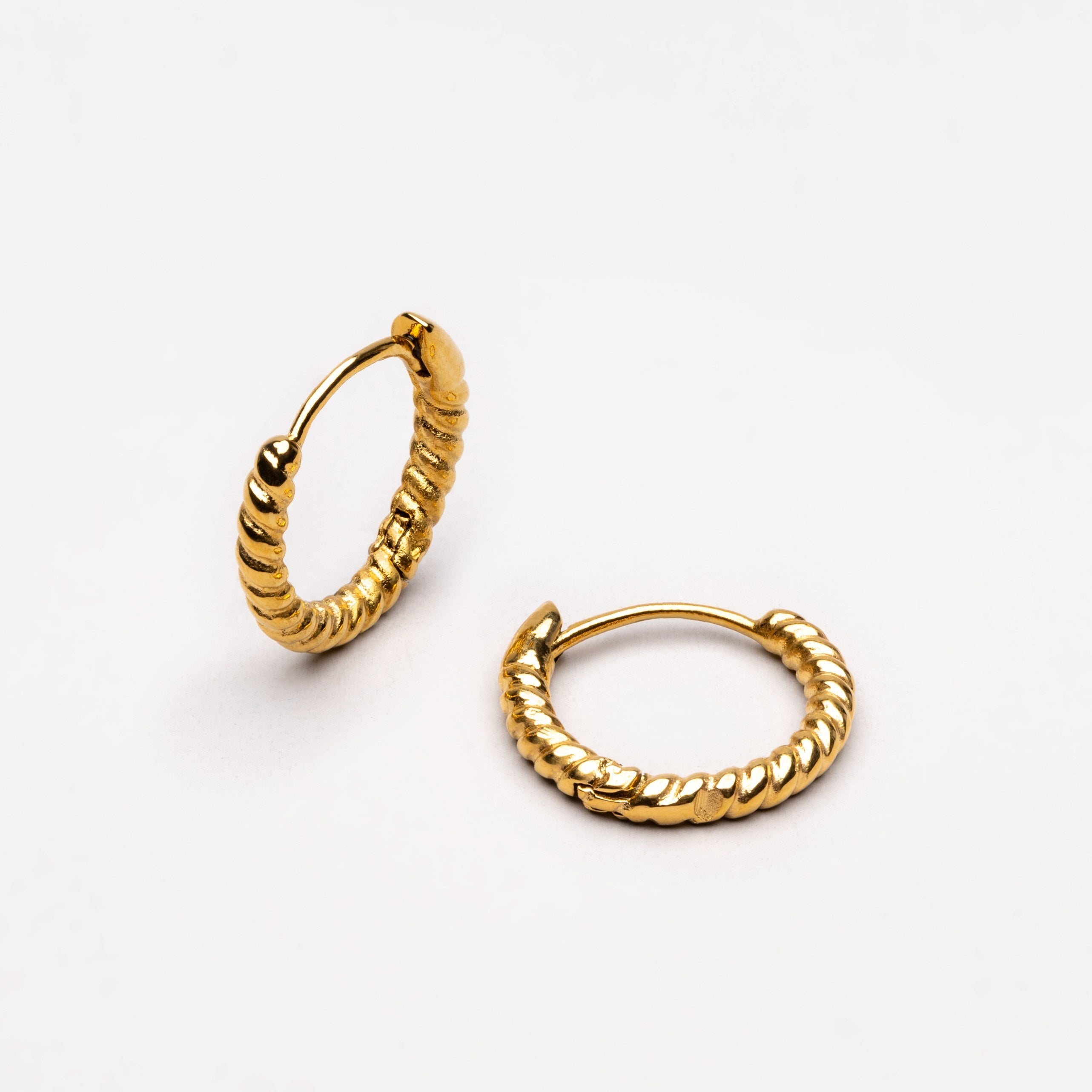 Example Twisted Hoops Earrings